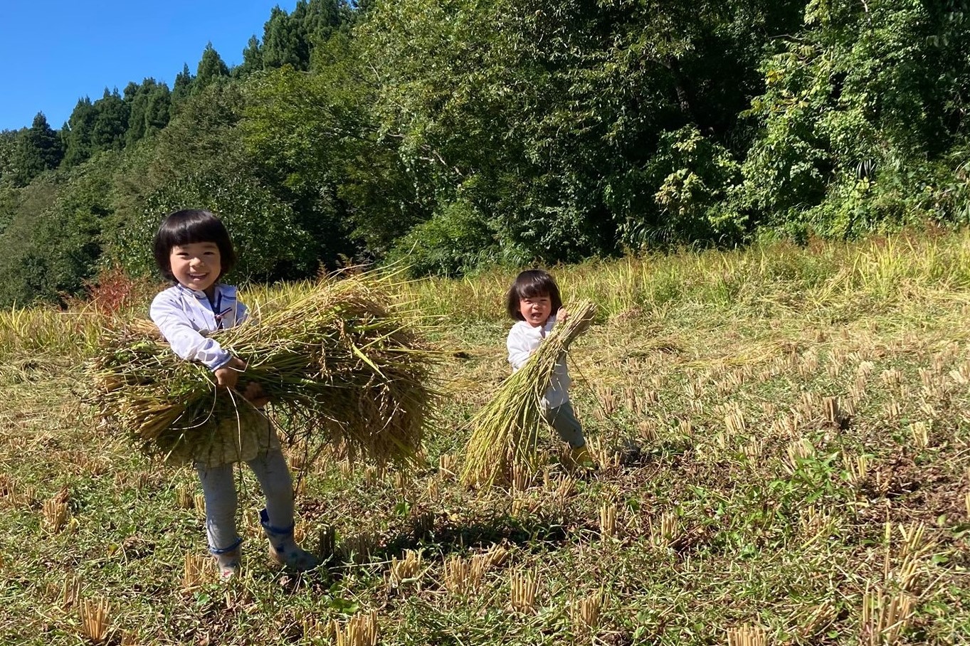 農作業をする4歳と2歳の娘さん。